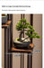 Multi-tier Step Plant Stand – 4- or 5-tier Plastic Pot Rack