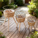 Floor‑standing Rattan Plant Stand with Wooden Legs — Indoor Pothos Holder