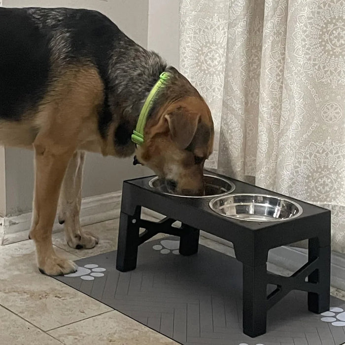 Adjustable Elevated Dog Feeder with Double Stainless Steel Bowls — Small to Large Dogs