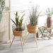 Floor‑standing Rattan Plant Stand with Wooden Legs — Indoor Pothos Holder